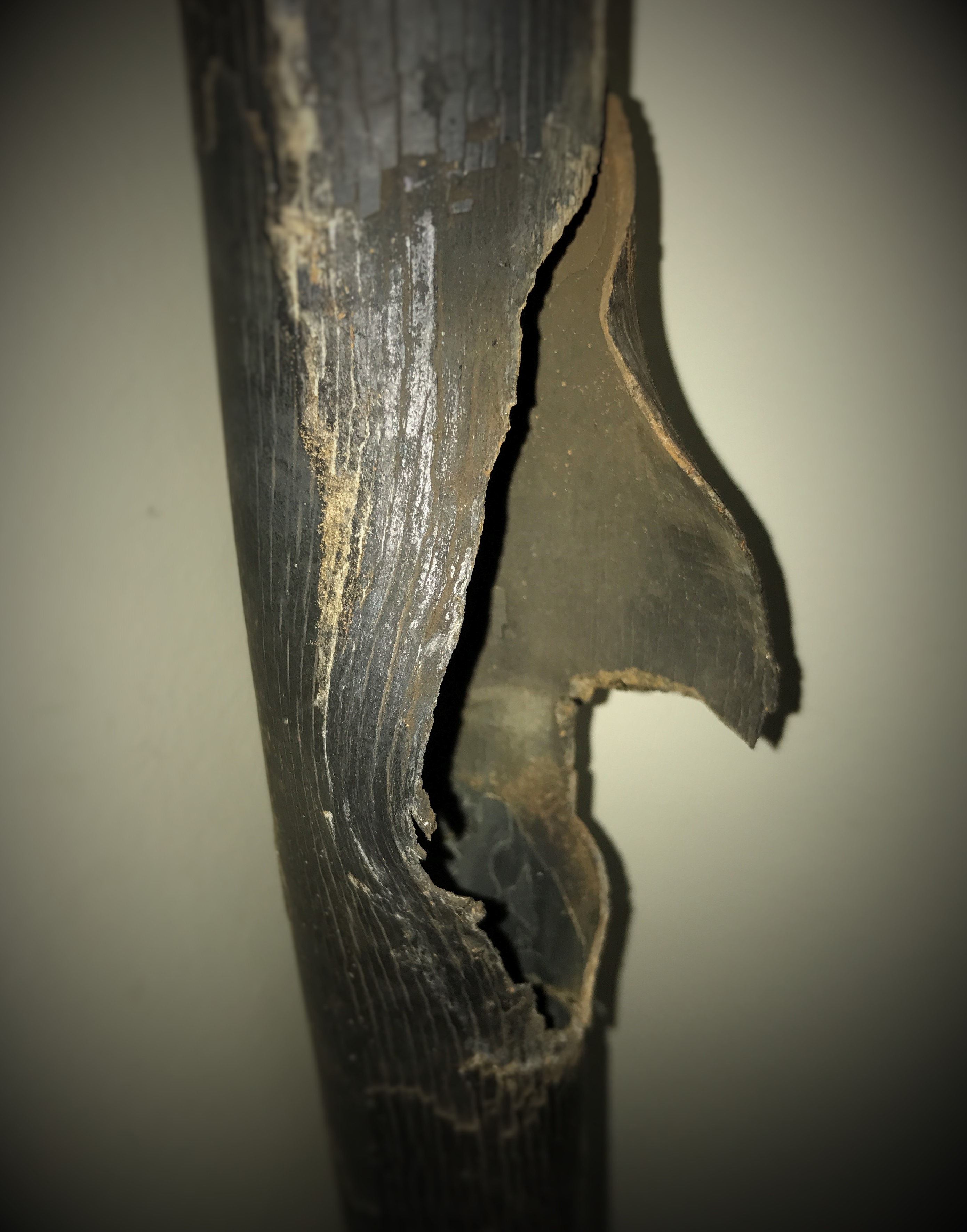 IMG_5156 (2) IMG_5156 (2)